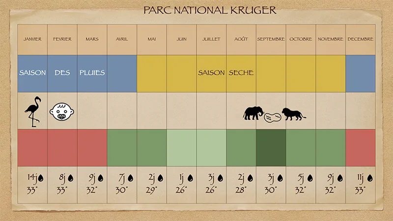 tableau des saisons pour partir en safari de luxe en Afrique du Sud