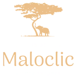 logo Maloclic
